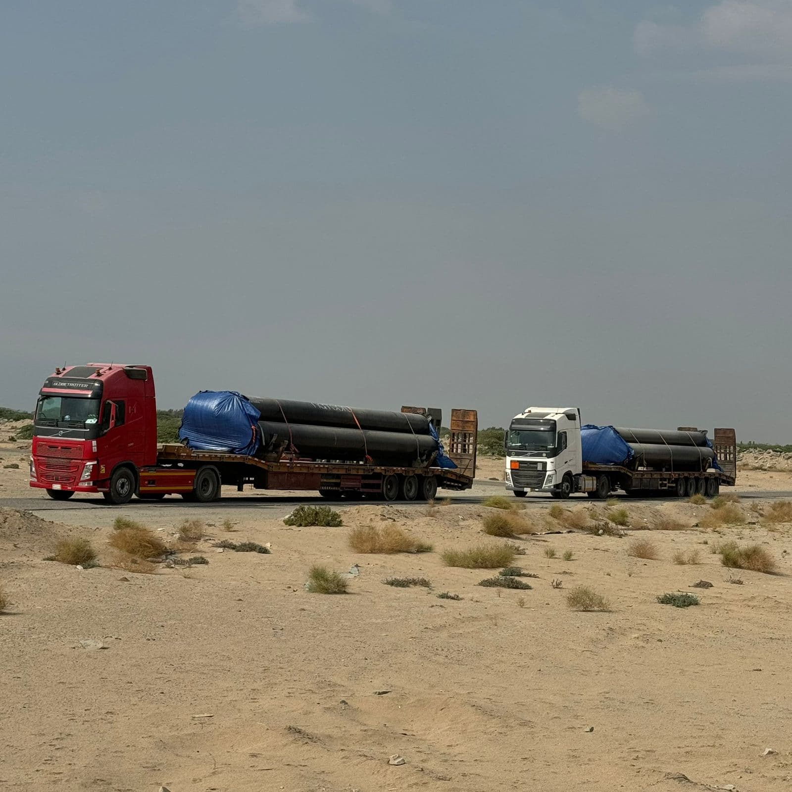 مشروع الراشد